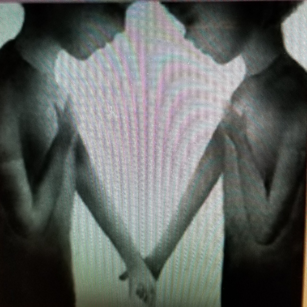 Meet your Posher, Julie